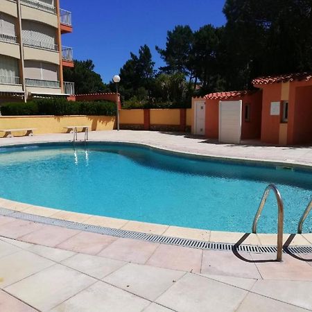 Joli Studio Cabine 4 Personnes A 300 M De La Plage Argelès-sur-Mer Zewnętrze zdjęcie