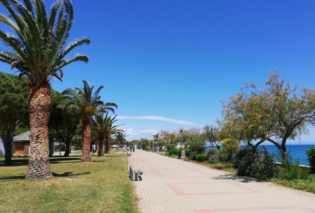 Joli Studio Cabine 4 Personnes A 300 M De La Plage Argelès-sur-Mer Zewnętrze zdjęcie
